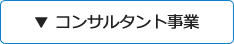 ▼ コンサルタント事業