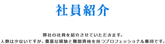 弊社紹介 当社の社員を紹介させていただきます。 人数は少ないですが、豊富な経験と難関資格を持つプロフェッショナル集団です。