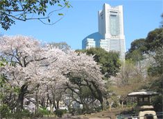 掃部山公園